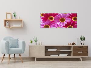 Obraz skleněný květy růžové a červené kopretiny - 50 x 70 cm