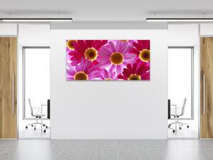 Obraz skleněný květy růžové a červené kopretiny - 30 x 60 cm