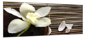 Obraz skleněný květ orchidej na bambusové podložce - 30 x 60 cm