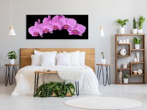 Obraz skleněný květy fialová orchidej na černém pozadí - 30 x 60 cm