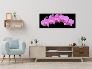 Obraz skleněný květy fialová orchidej na černém pozadí - 100 x 150 cm