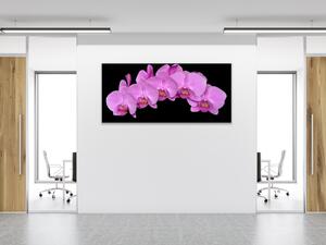 Obraz skleněný květy fialová orchidej na černém pozadí - 30 x 60 cm