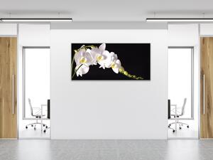 Obraz skleněný bílá orchidej na černém pozadí - 30 x 60 cm