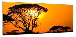 Obraz skleněný západ slunce Afrika Keňa - 50 x 100 cm