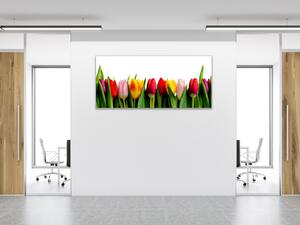 Obraz skleněný barevné tulipány - 30 x 60 cm