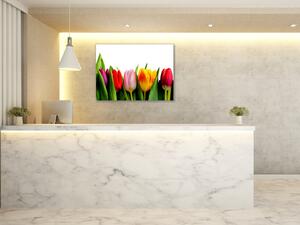 Obraz skleněný barevné tulipány - 100 x 150 cm