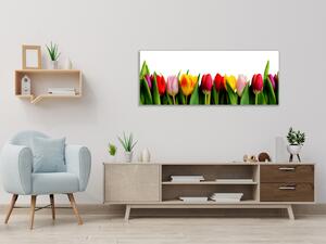 Obraz skleněný barevné tulipány - 30 x 60 cm
