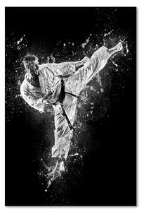 Obraz na plátně Karate - Cornel Vlad Rozměry: 40 x 60 cm