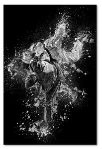 Obraz na plátně Judo - Cornel Vlad Rozměry: 40 x 60 cm