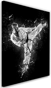 Obraz na plátně Karate - Cornel Vlad Rozměry: 40 x 60 cm