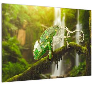 Skleněný obraz chameleona (70x50 cm)