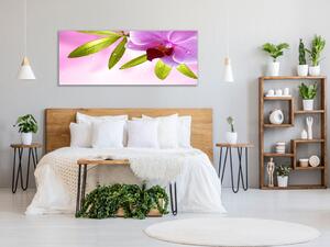 Obraz skleněný motiv wellness orchidej - 30 x 60 cm