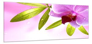 Obraz skleněný motiv wellness orchidej - 40 x 60 cm