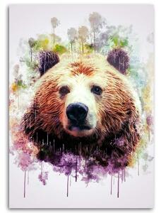 Obraz na plátně Barevná hlava medvěda - Cornel Vlad Rozměry: 40 x 60 cm