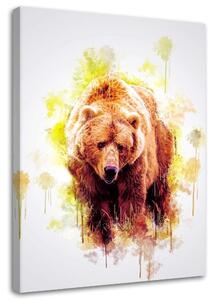 Obraz na plátně Medvěd - Cornel Vlad Rozměry: 40 x 60 cm