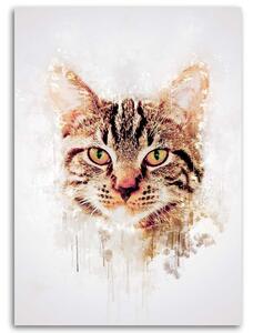 Obraz na plátně Kočičí hlava - Cornel Vlad Rozměry: 40 x 60 cm