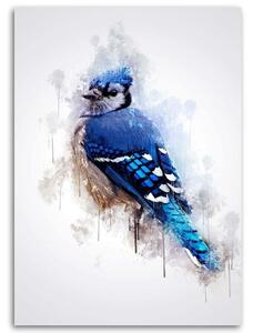 Obraz na plátně Modrý vrabec - Cornel Vlad Rozměry: 40 x 60 cm