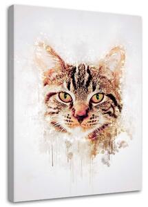 Obraz na plátně Kočičí hlava - Cornel Vlad Rozměry: 40 x 60 cm