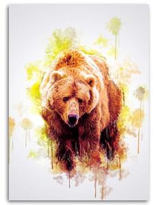 Obraz na plátně Medvěd - Cornel Vlad Rozměry: 40 x 60 cm