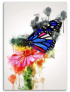 Obraz na plátně Motýl na květině - Cornel Vlad Rozměry: 40 x 60 cm