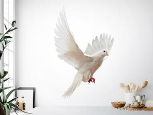 Bílá holubice 29 x 45 cm
