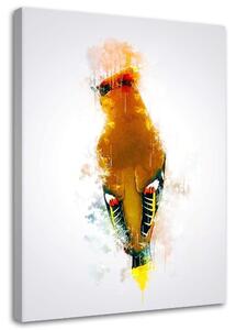 Obraz na plátně Oranžový datel - Cornel Vlad Rozměry: 40 x 60 cm