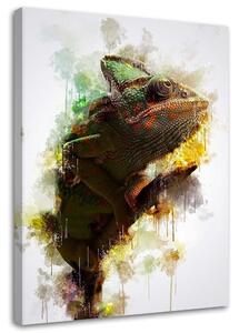 Obraz na plátně Chameleon - Cornel Vlad Rozměry: 40 x 60 cm