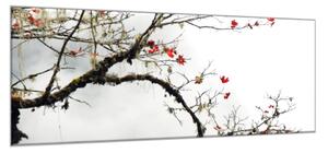 Obraz skleněný větev s červenými lístky - 52 x 60 cm