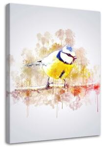 Obraz na plátně Pták na větvi - Cornel Vlad Rozměry: 40 x 60 cm