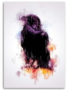 Obraz na plátně Černá vrána - Cornel Vlad Rozměry: 40 x 60 cm
