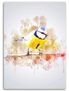 Obraz na plátně Pták na větvi - Cornel Vlad Rozměry: 40 x 60 cm