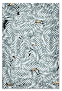 Obraz na plátně Tukani v listí - Rubiant Rozměry: 40 x 60 cm