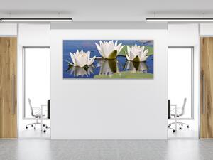 Obraz skleněný bílé lekníny na hladině jezera - 30 x 60 cm