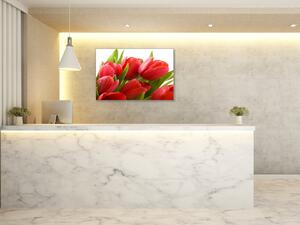 Obraz skleněný červené tulipány - 30 x 60 cm