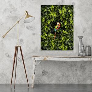 Obraz na plátně Papoušek v listí - Rubiant Rozměry: 40 x 60 cm