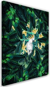 Obraz na plátně Diamantový papoušek v listu - Rubiant Rozměry: 40 x 60 cm