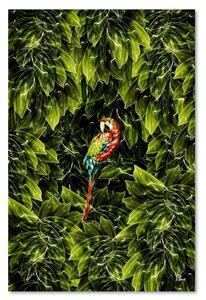 Obraz na plátně Papoušek v listí - Rubiant Rozměry: 40 x 60 cm