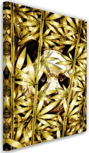 Obraz na plátně Panda ve zlatém bambusu - Rubiant Rozměry: 40 x 60 cm
