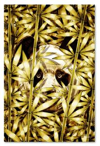 Obraz na plátně Panda ve zlatém bambusu - Rubiant Rozměry: 40 x 60 cm