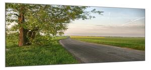 Obraz skleněný silnice v krajině - 30 x 60 cm