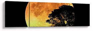 Obraz stínů v měsíčním světle (170x50 cm)