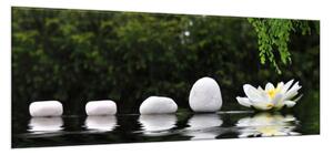 Obraz skleněný řada kamenů a leknín - 100 x 150 cm
