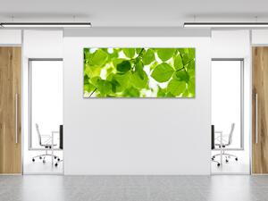 Obraz skleněný bukové listí - 30 x 60 cm