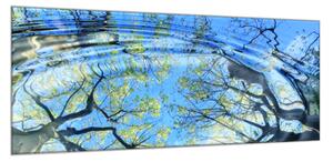 Obraz skleněný větve stromu odraz v hladině - 100 x 150 cm