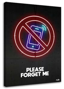 Obraz na plátně Zákaz telefonování neon - Rubiant Rozměry: 40 x 60 cm