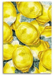 Obraz na plátně Žluté citrony - Rubiant Rozměry: 40 x 60 cm