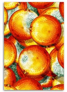 Obraz na plátně Pomeranče - Rubiant Rozměry: 40 x 60 cm