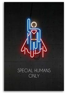 Obraz na plátně Neonový superman - Rubiant Rozměry: 40 x 60 cm