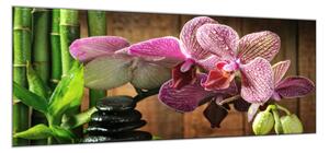 Obraz skleněný květ růžová orchidej bambus a zen kámen - 50 x 70 cm