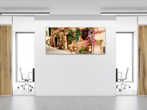 Obraz skleněný zeď domu s květinami - 30 x 60 cm